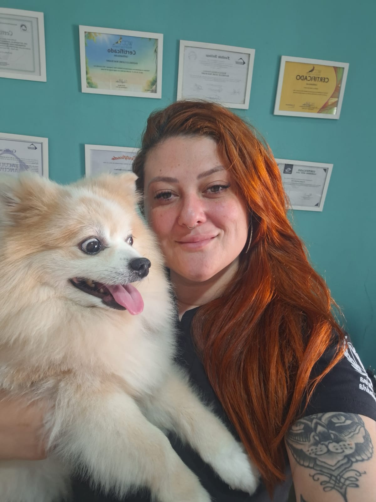 Clínica e Cirurgia Cães e Gatos